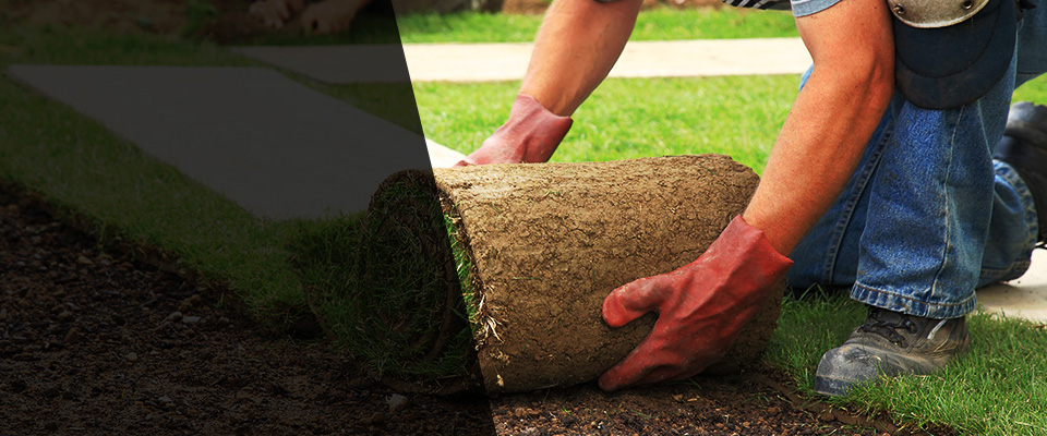 South Jordan Landscapers